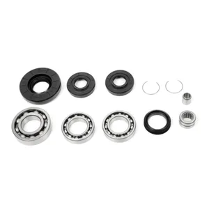 ALL BALLS DIFFERENTIAL KIT