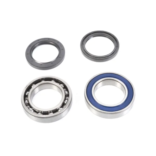 14-1065 CHAIN CASE BRNG & SEAL KT