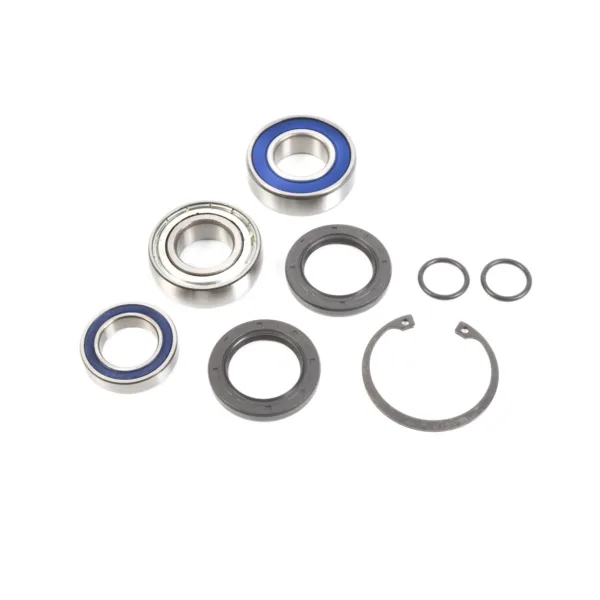 14-1068 CHAIN CASE BRNG & SEAL KT