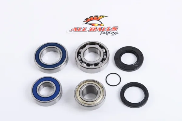 CHAIN CASE BEARING & SEAL KIT