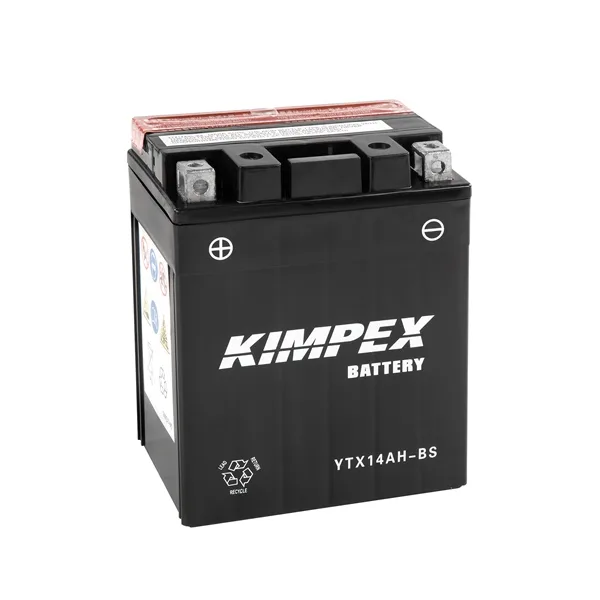 Battery Maintenance Free AGM High Performance