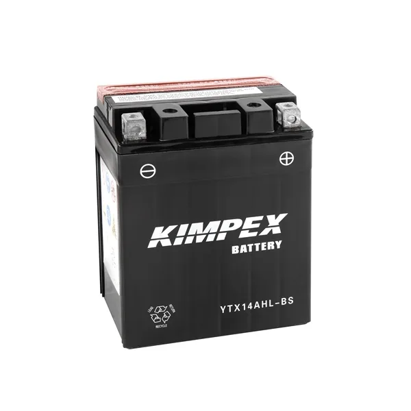 Battery Maintenance Free AGM High Performance
