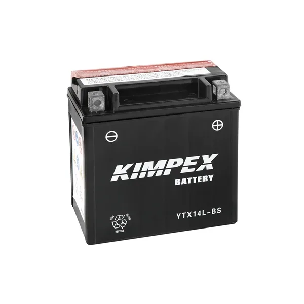 Battery Maintenance Free AGM