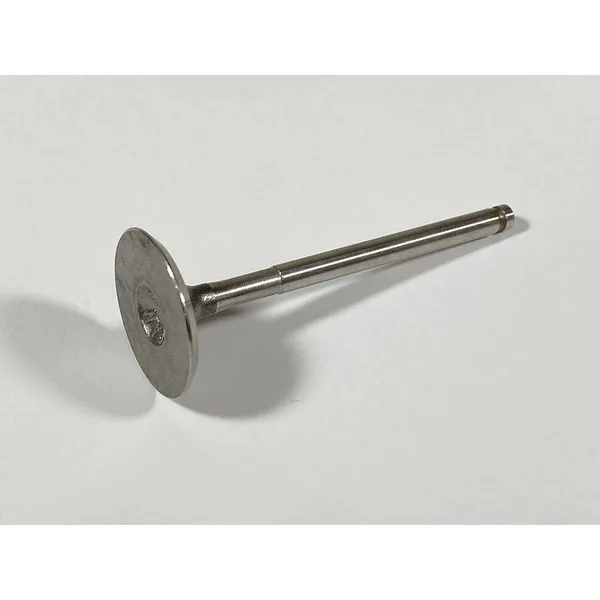ING VALVE 12005-1013    GG4009EX EA.