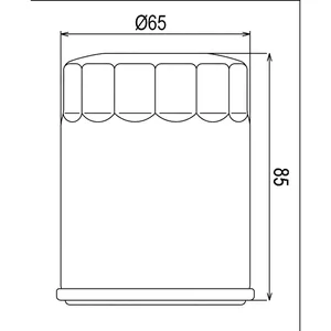 OIL FILTER COF521 (HF621)