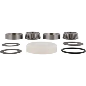 STEERING STEM BEARING KIT BETA EVO 2T 300 2012-202
