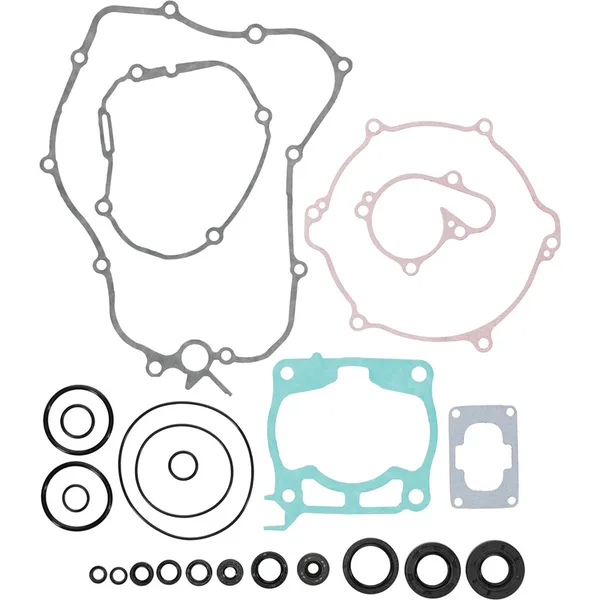Complete Gasket Set with Oil Seals - 811