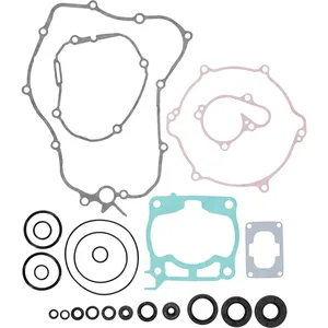 Complete Gasket Set with Oil Seals - 811