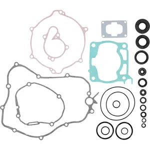 Complete Gasket Set with Oil Seals - 811